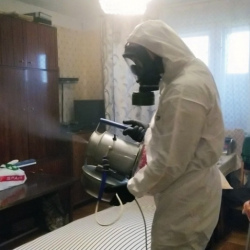 Дезинфекция от клопов в Чашниково