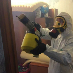 Уничтожение клопов в квартире. Чашниково